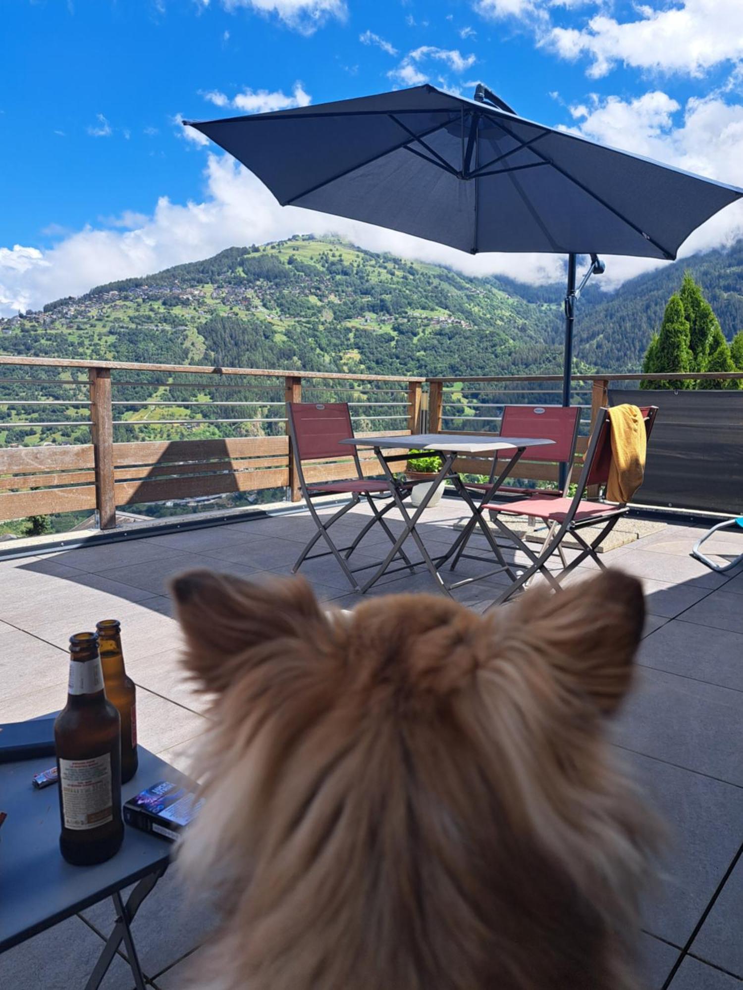 Alt'O Martinets Guest House Nendaz Luaran gambar