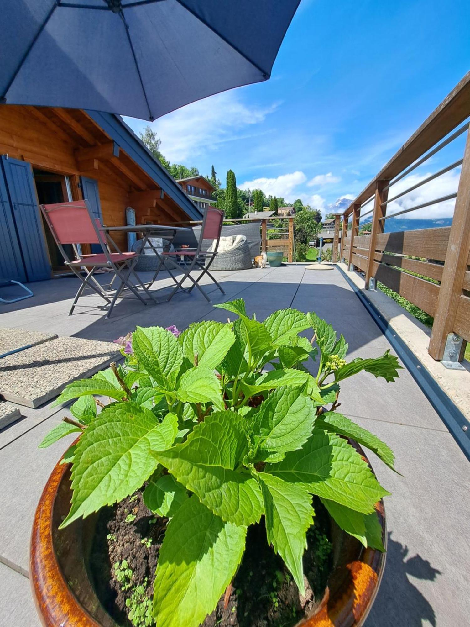 Alt'O Martinets Guest House Nendaz Luaran gambar
