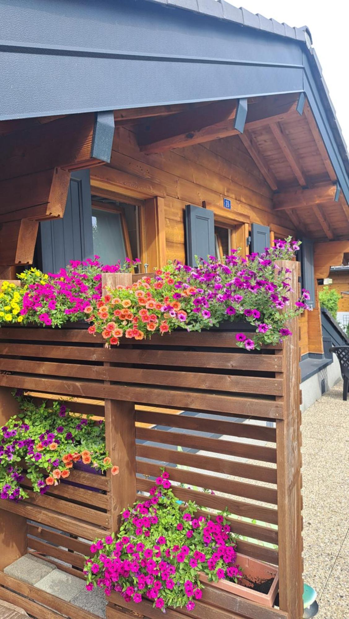 Alt'O Martinets Guest House Nendaz Luaran gambar